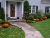 Fall Mums