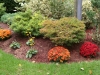 Fall Colors